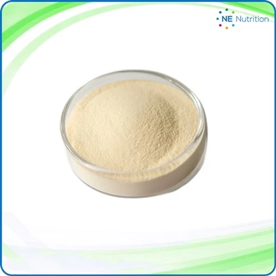 Lecithin: Giảm cholesterol và giải quyết viêm loét đại tràng